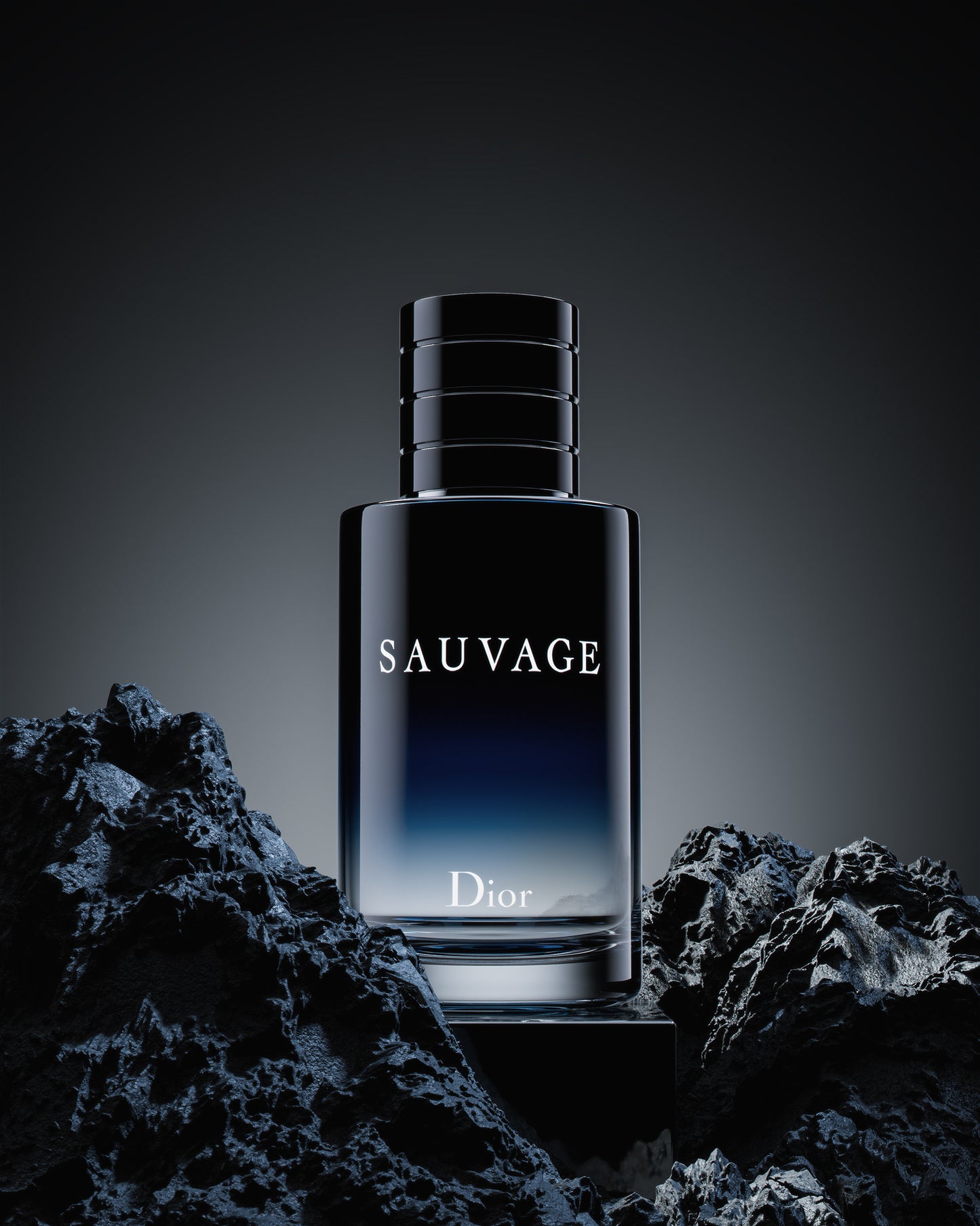 SAUVAGE EAU DE PARFUM 100ml